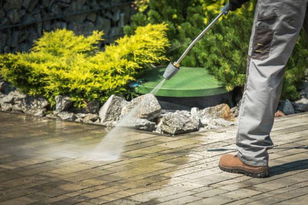Best Solar Panel Cleaning  in Locust Grove, GA